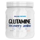 All Nutrition Glutamine recovery amino (500 .)